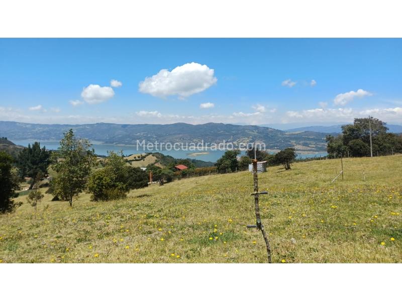 Lote en Venta, Carbonera Baja, Guatavita - Vaizdas 5