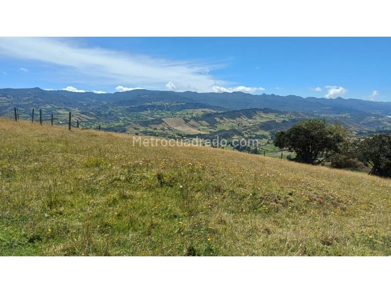 Lote en Venta, Carbonera Baja, Guatavita - Daugiau