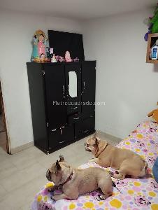 Apartamento de 2 alcobas en venta en El Trapiche, Bello, 41 m² · foto 7 de 8