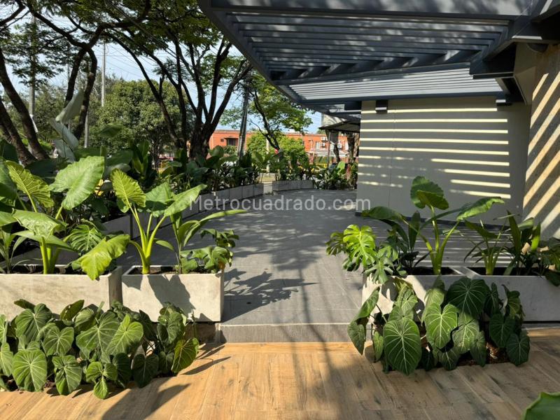 Local Comercial en Arriendo, Urbanizacion La Flora, Cali - Widok 3