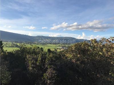 Casa de 3 alcobas en venta en Norte, Bogotá, 332 m² · foto 18 de 20