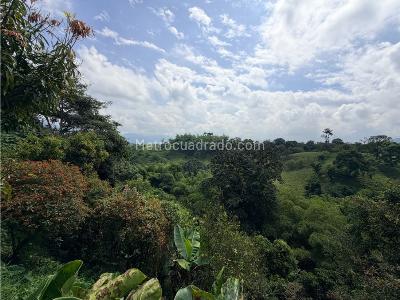 Casa en venta en Via Armenia, Pereira · foto 10 de 20