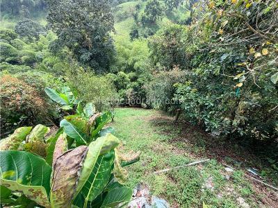 Casa en venta en Via Armenia, Pereira · foto 11 de 20