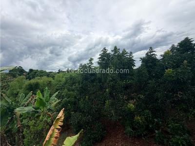 Casa en venta en Morelia, Pereira · foto 12 de 14