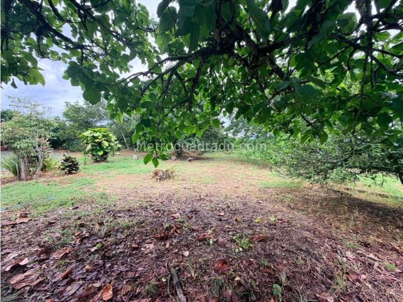Lote en Venta, La Palmilla, Pereira - Vista 2