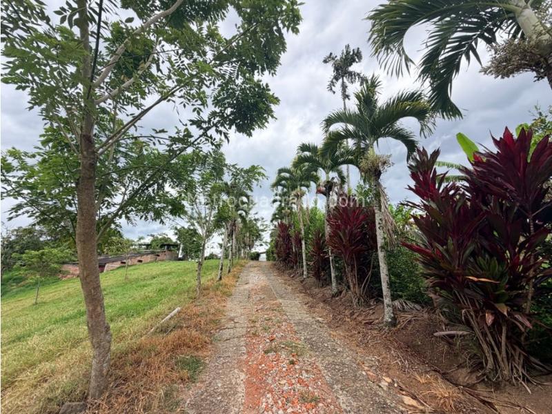 Lote en Venta, La Palmilla, Pereira - Vista 3
