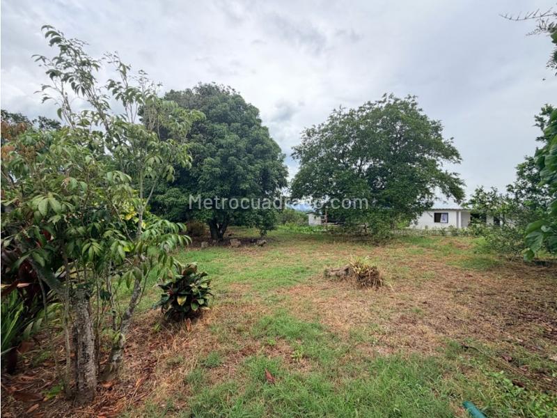 Lote en Venta, La Palmilla, Pereira - Vista 4