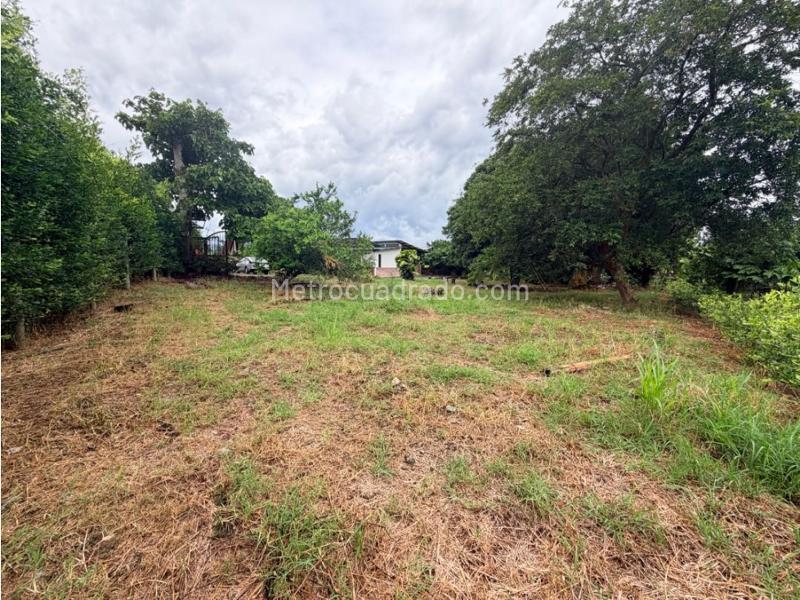 Lote en Venta, La Palmilla, Pereira - Más