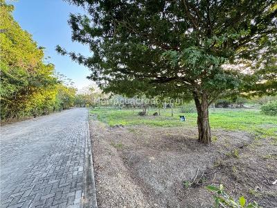 Casa en venta en Zona Insular Isla De Baru, Cartagena · foto 7 de 17