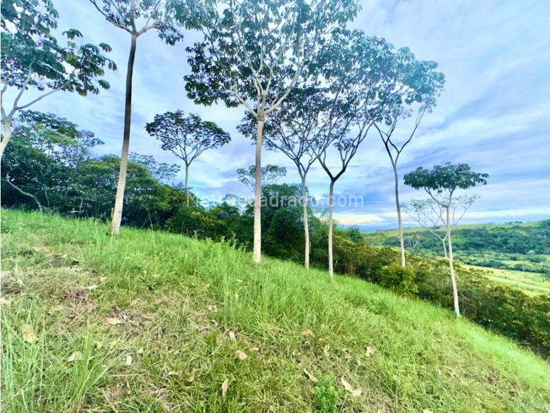 Lote en Venta, Pance, Cali – pohled 2