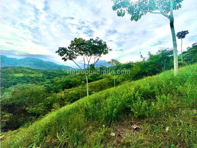 Lote en Venta, Pance, Cali – pohled 4