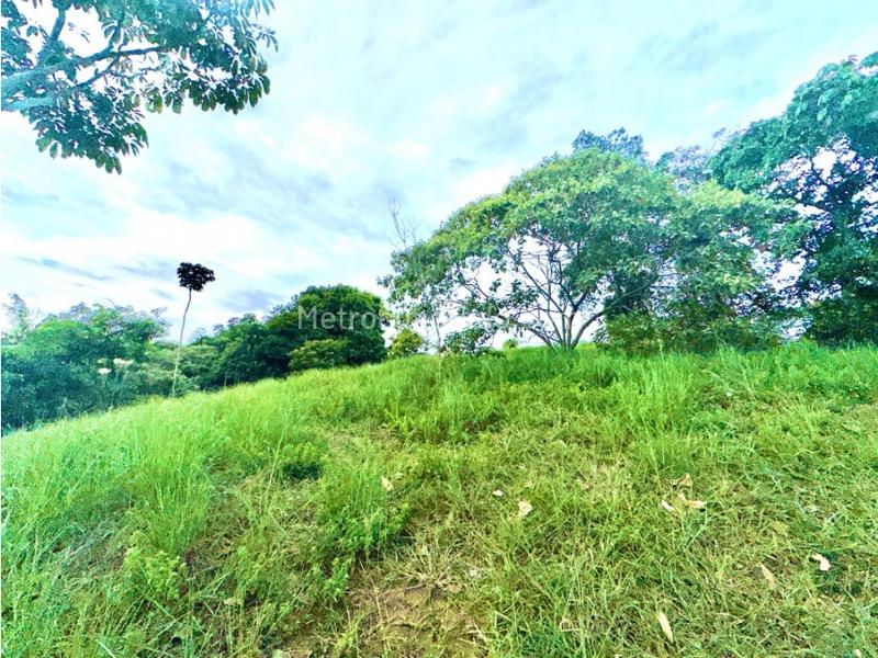 Lote en Venta, Pance, Cali – pohled 5