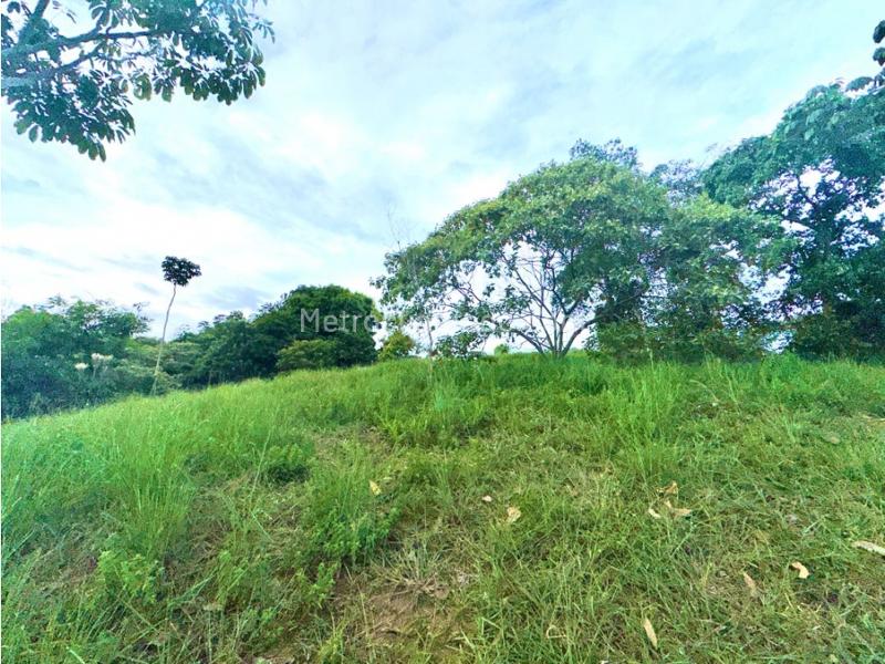 Lote en Venta, Pance, Cali – pohled 6