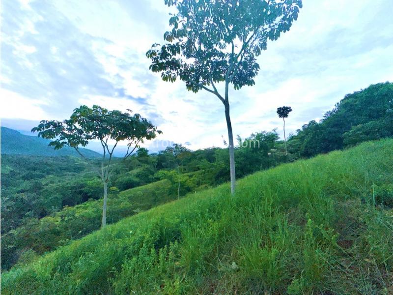 Lote en Venta, Pance, Cali – další