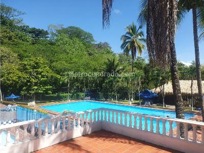 Casa de 2 alcobas en venta en La Pintada Antioquia Municipio De Valparaiso, Medellín, 450 m² · foto 2 de 18