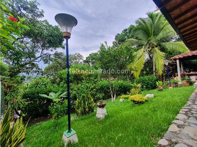 Casa de 2 alcobas en venta en La Pintada Antioquia Municipio De Valparaiso, Medellín, 450 m² · foto 8 de 18