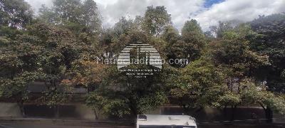 Apartaestudio en arriendo en Cedritos Contador, Bogotá, 41 m² · foto 16 de 20