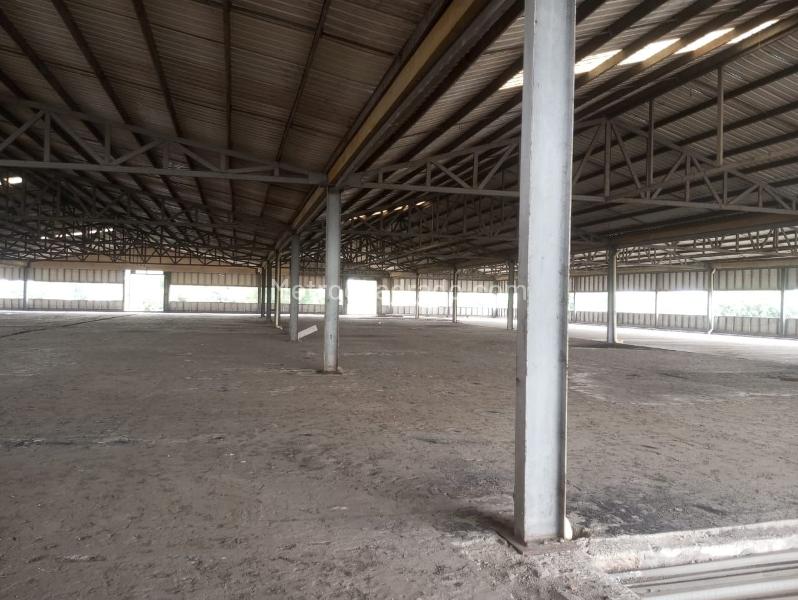 Bodega en Arriendo, FLORA INDUSTRIAL, Cali - Vista 4