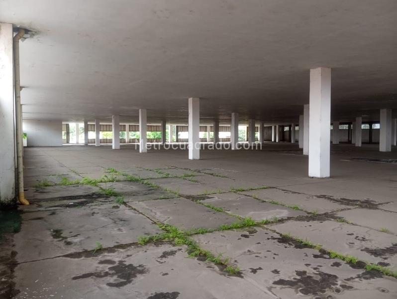 Bodega en Arriendo, FLORA INDUSTRIAL, Cali - Más