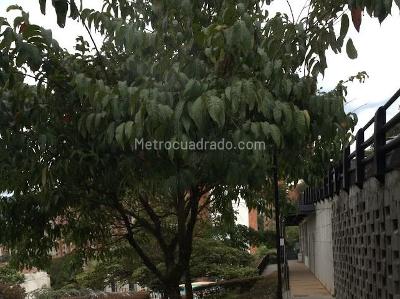 Apartamento en venta en Centro De La Moda, Itagüí · foto 15 de 20