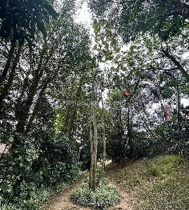 Casa de 3 alcobas en venta en Transversal Intermedia, Envigado, 190 m² · foto 16 de 20
