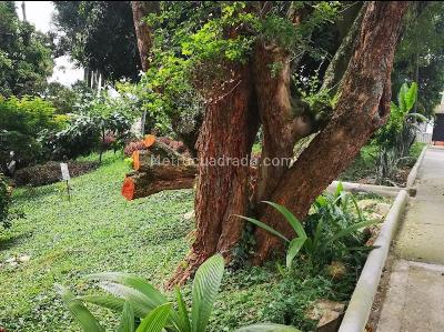 Apartamento de 3 alcobas en venta en El Dorado, Envigado, 72 m² · foto 20 de 20