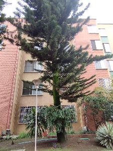Apartamento de 3 alcobas en venta en Manzanares, Cali, 70 m² · foto 19 de 20