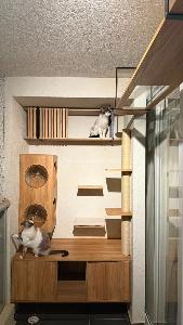 Apartamento de 2 alcobas en venta en Valle Del Lili, Cali, 99 m² · foto 10 de 16