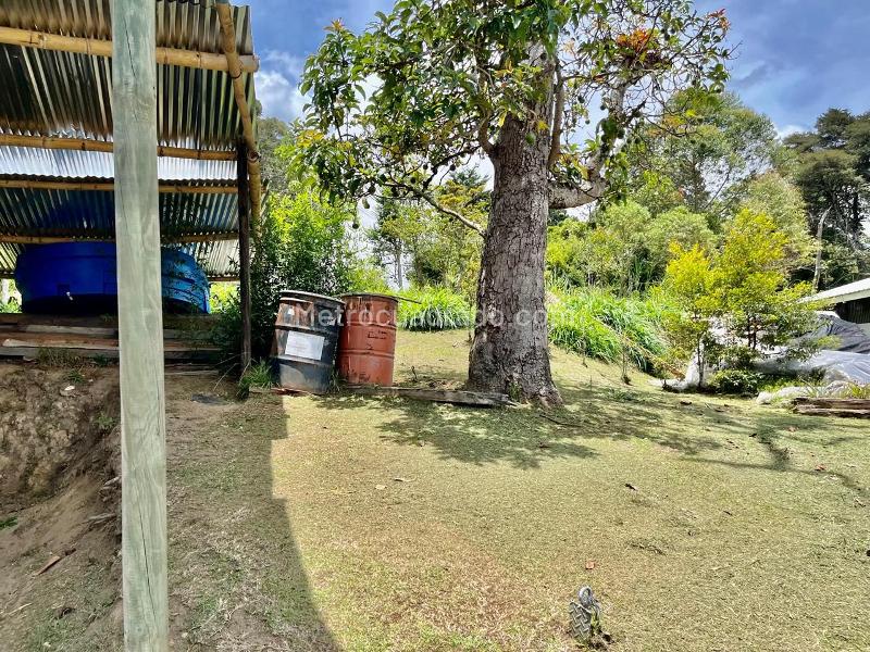 Lote en Venta, Sector Base Aerea, Rionegro - Vista 5