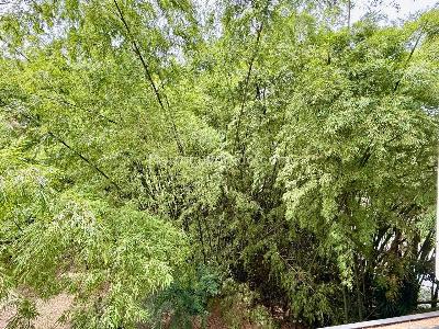 Apartamento de 2 alcobas en venta en El Poblado El Tesoro, Medellín, 230 m² · foto 14 de 20
