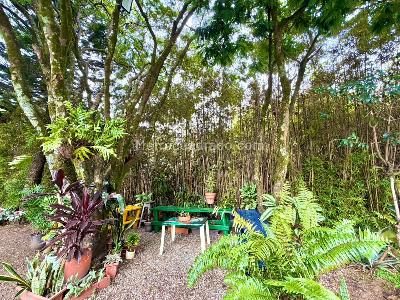 Apartamento en arriendo en Las Palmas, Medellín · foto 15 de 17