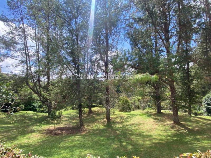 Countryside 3BR House in El Retiro (Exclusive Sector) - 2