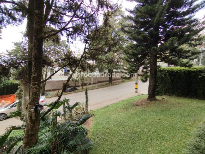 Stylish 2BR Apartment with Terrace in La Concha