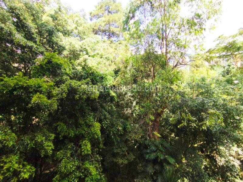 1BR Apartment in Poblado (44 m²)