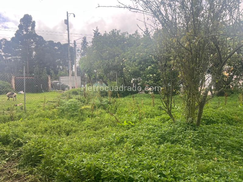 Lote en Venta, Variante Chia cota, Chía - Vista 5