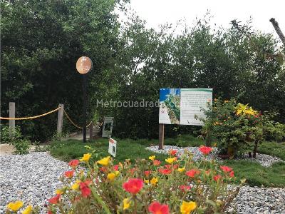 Apartamento en venta en Playa Salguero, Santa Marta · foto 11 de 20