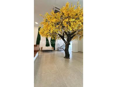 Apartamento en venta en Rodadero, Santa Marta · foto 4 de 19