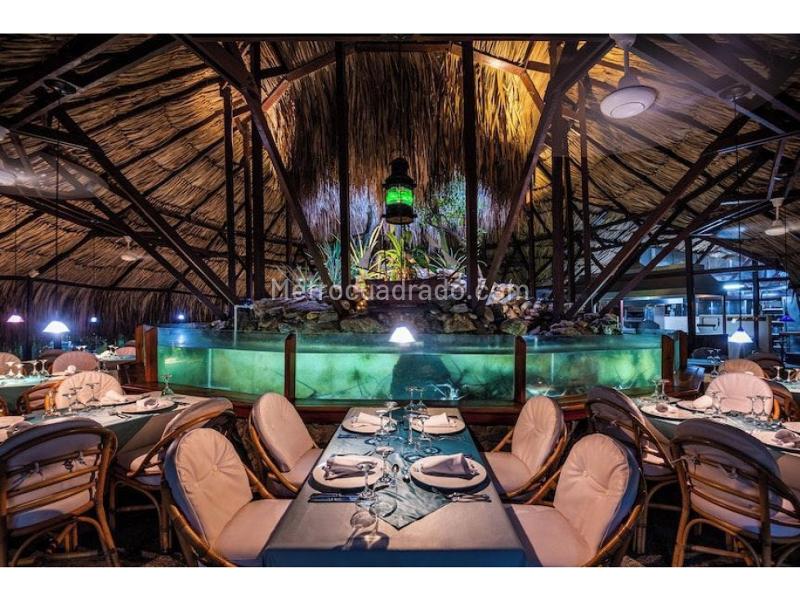 Apartment in Santa Marta, Bello Horizonte - More
