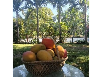 Casa en venta en Pozos Colorados, Santa Marta · foto 2 de 15