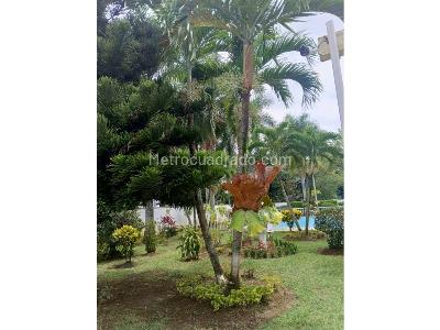 Apartamento en venta en Valle Del Lili, Cali · foto 11 de 14