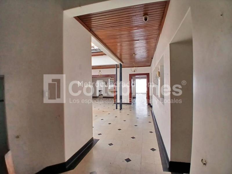 Commercial House for Rent in Prado - 7