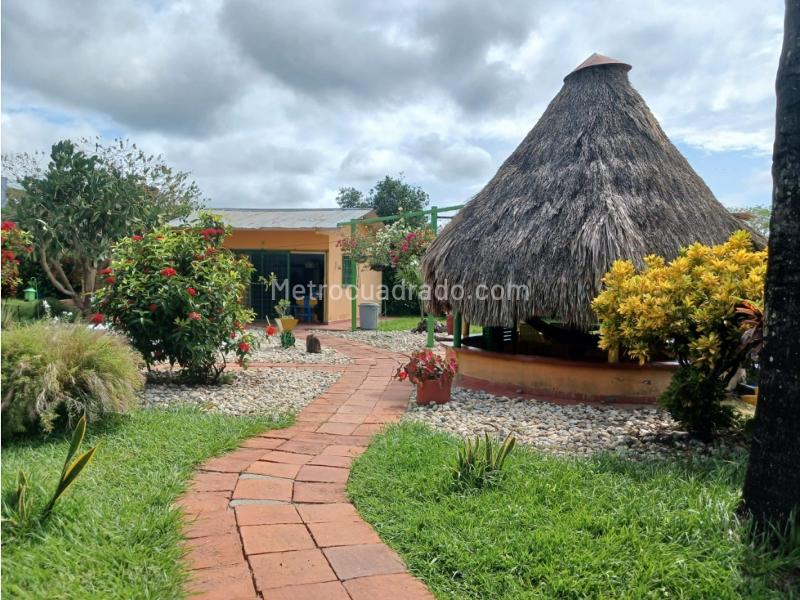 Casa – Armero Guayabal - Vista 2