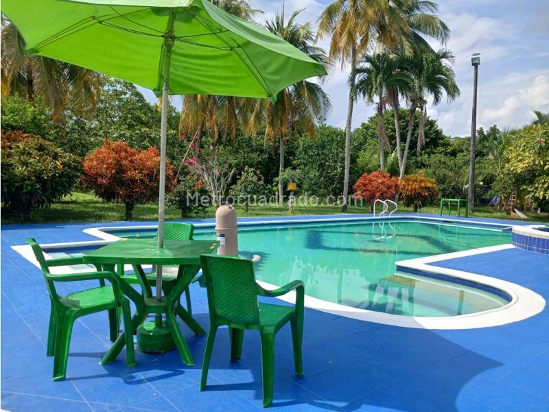 Casa – Armero Guayabal - Vista 3