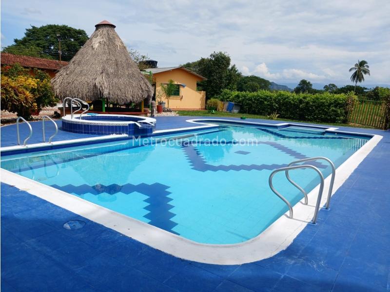 Casa – Armero Guayabal - Vista 4