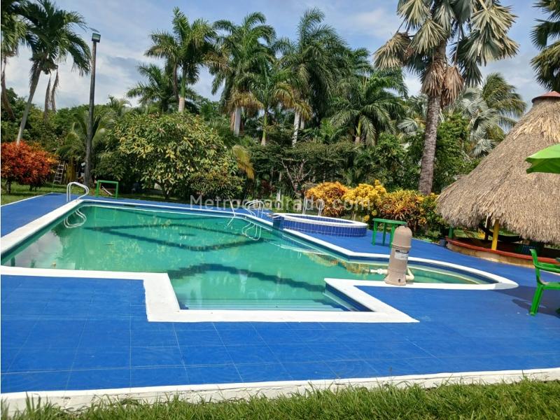 Casa – Armero Guayabal - Vista 5