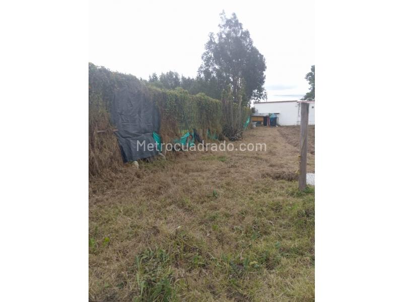 Lote en Venta, Vereda Fonqueta Chia, Chía - Vista 2
