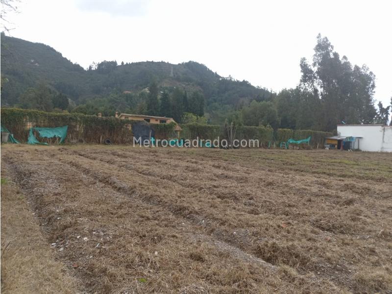Lote en Venta, Vereda Fonqueta Chia, Chía - Vista 3