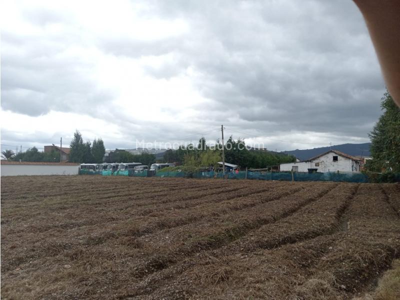 Lote en Venta, Vereda Fonqueta Chia, Chía - Vista 4