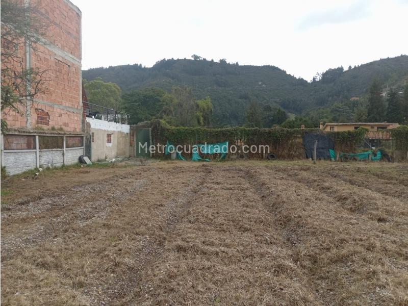 Lote en Venta, Vereda Fonqueta Chia, Chía - Vista 5