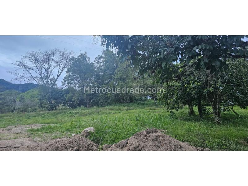 Lote en Venta, Chucuni, Ibagué - Más